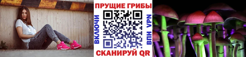 mega вход Заполярный Галлюциногенные грибы Magic Shrooms