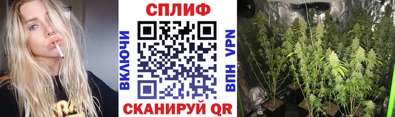 МАРИХУАНА план  Заполярный 